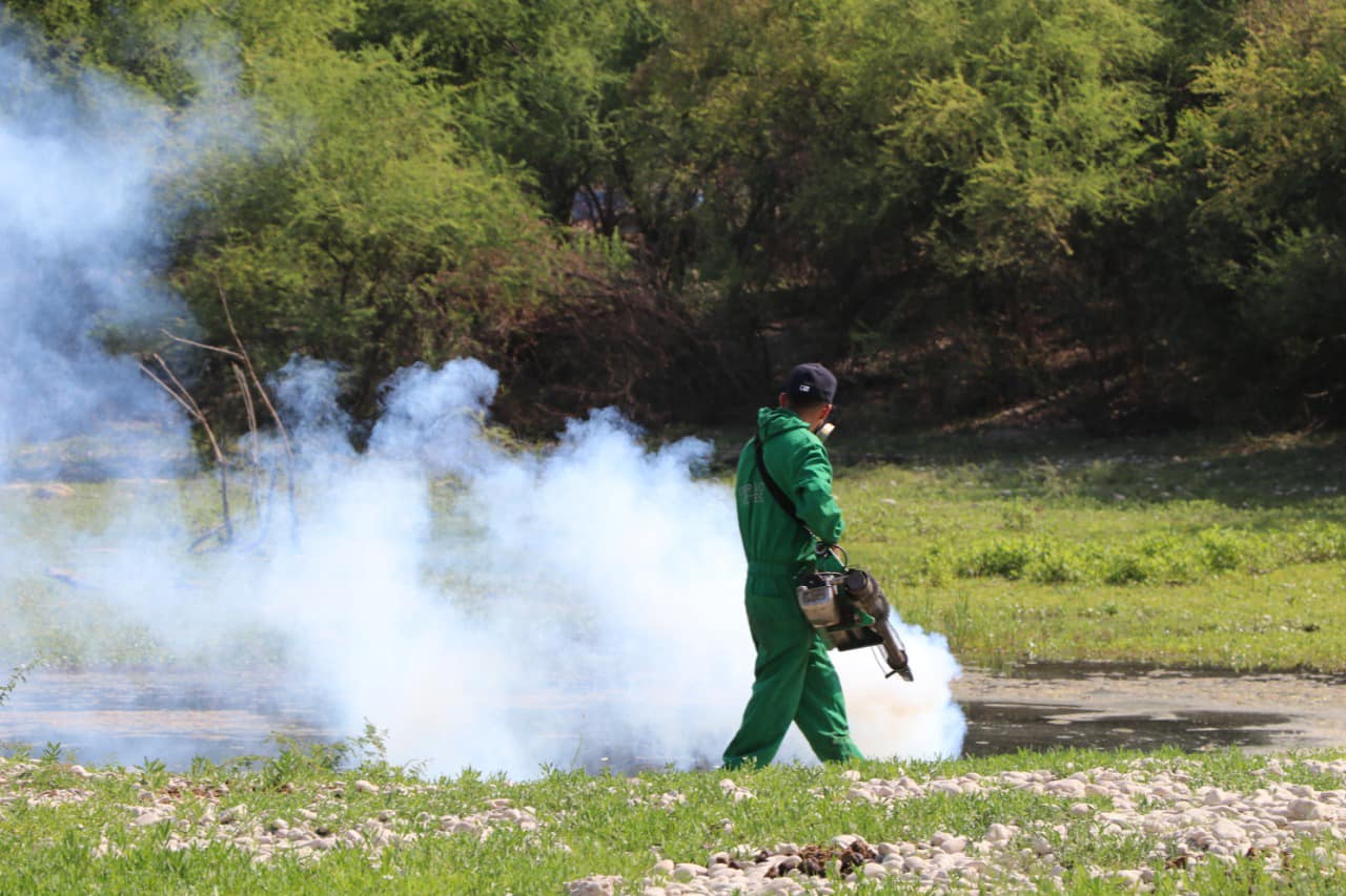 Inicia campaña de limpieza y fumigación en Río Álamos